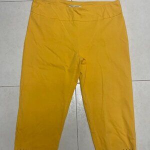 Zac and Rachel Capri Pants Size 16 with decorative trim